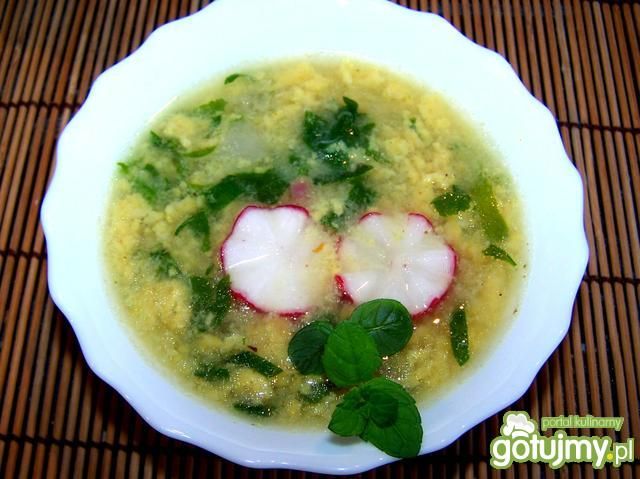  Zupa z młodej rzodkiewki.