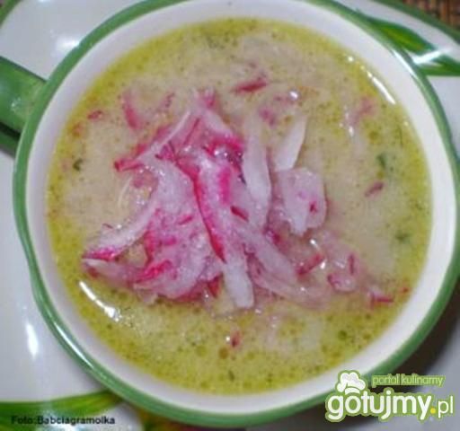 Zupa z młodych liści rzodkiewki : Zupa z młodych liści rzodkiewki :