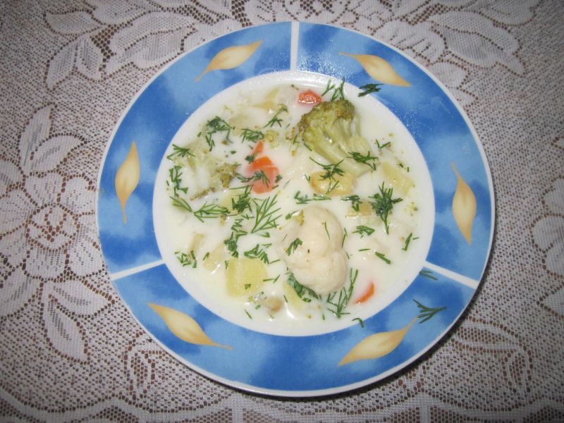 Zupa z młodych warzyw Zupa z młodych warzyw