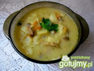 Zupa z pieczarek , ryżu i ziemniaków Zupa z pieczarek , ryżu i ziemniaków