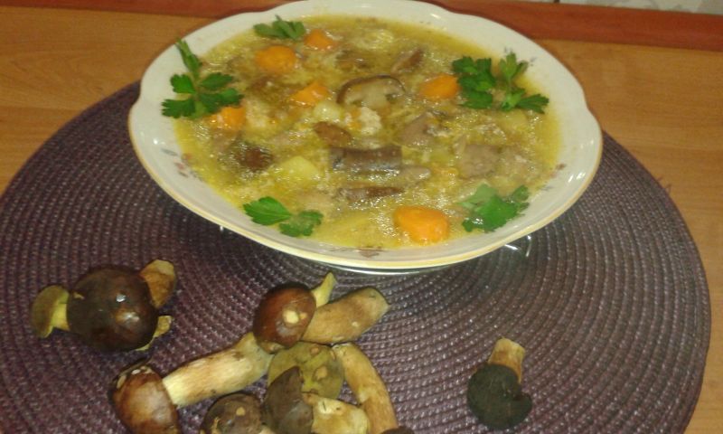 Zupa z podgrzybkami