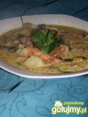 Zupa z podgrzybków Zupa z podgrzybków