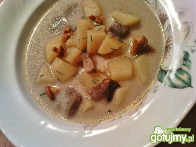 Zupa z podgrzybków i kurek 