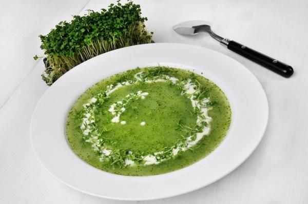 Zupa z rzeżuchy Zupa z rzeżuchy