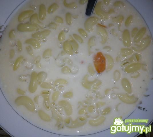 Zupa z serków topionych 4 Zupa z serków topionych 4