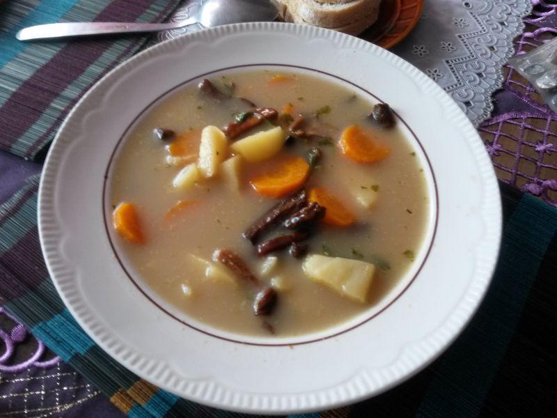 Zupa z suszonych grzybów leśnych Zupa z suszonych grzybów leśnych