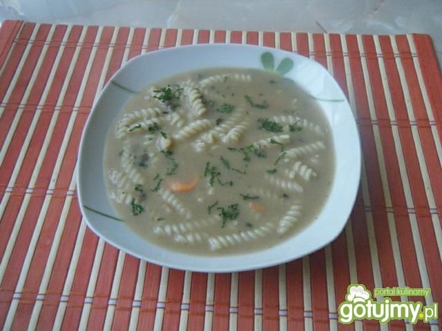 Zupa z suszonych grzybów z makaronem