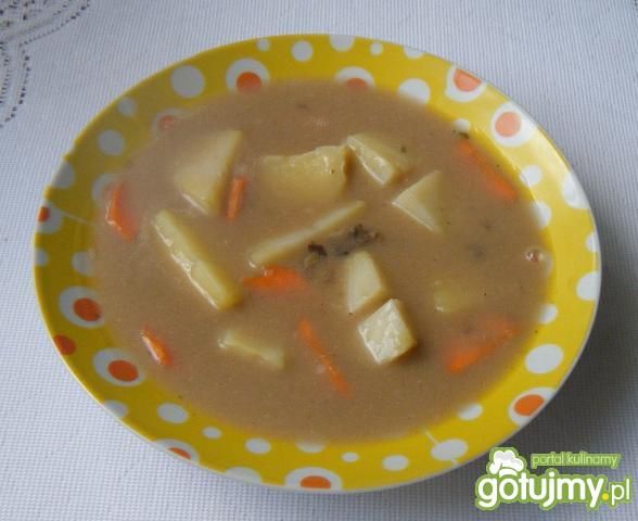 Zupa z suszonych grzybów z warzywami  