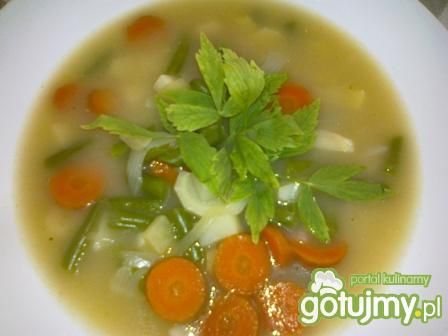 Zupa z warzywami i lubczykiem.