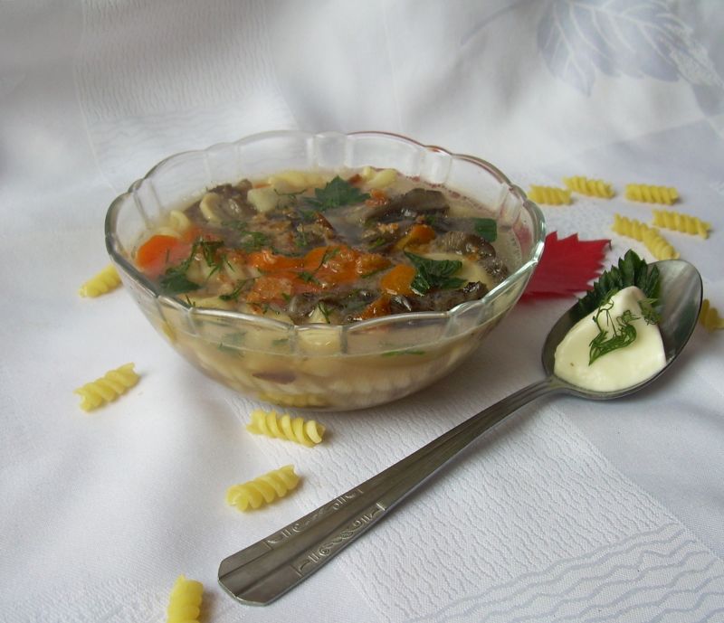 Zupa ze świeżych grzybów (z makaronem)