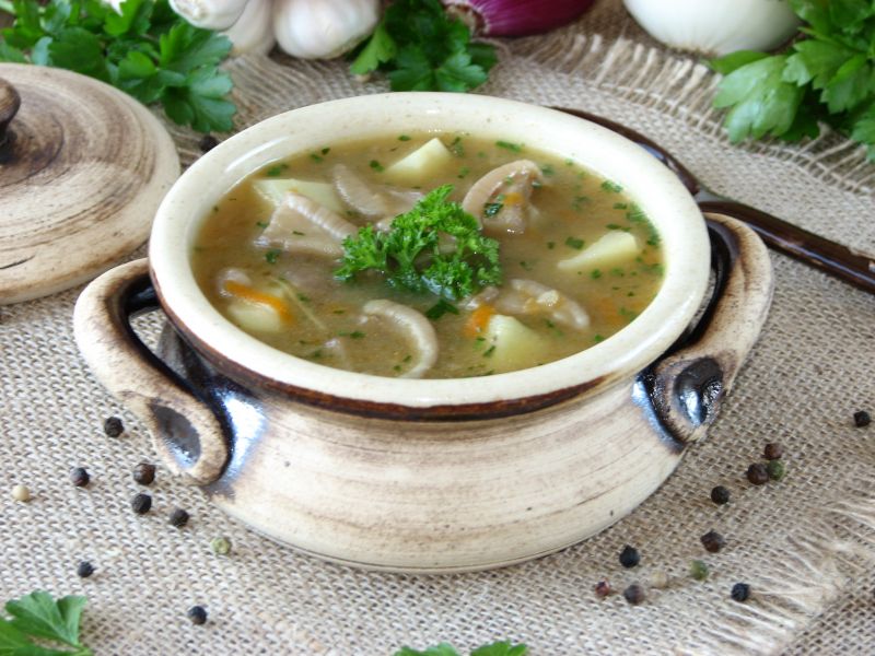 Zupa ze świeżych maślaków