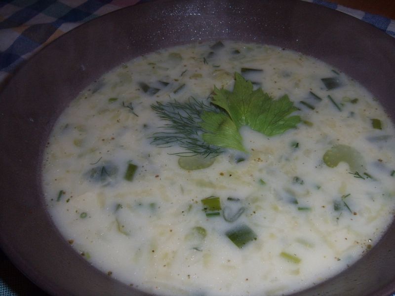 Zupa ze świeżych ogórków Zupa ze świeżych ogórków