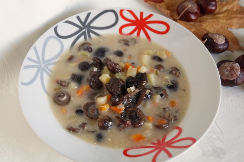 Zupa ze świeżymi opieńkami