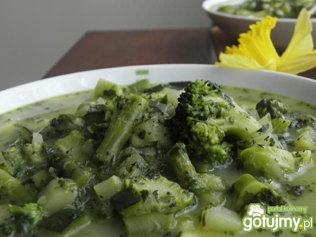 Zupa-zielony kwiecień. Zupa-zielony kwiecień.