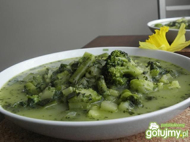 Zupa-zielony kwiecień.