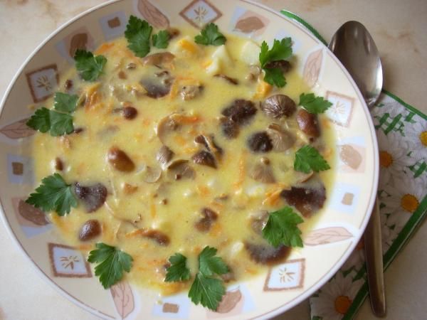 Zupa zimówkowa  Zupa zimówkowa