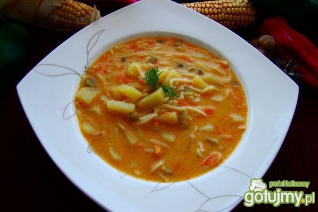 Zupina z ogórków kiszonych  z makaronem 