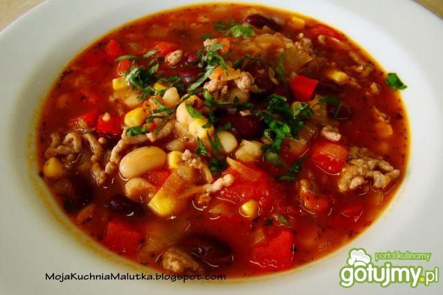 Zupka Meksykańska  Zupka Meksykańska