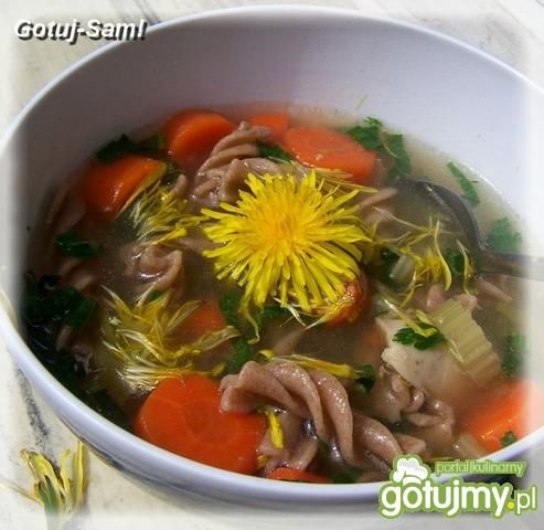 Zupka mniszkowa z makaronem żytnim  Zupka mniszkowa z makaronem żytnim