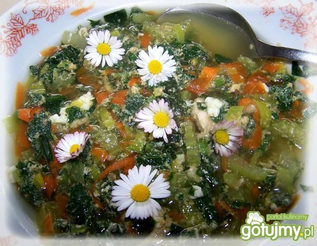 Zupka oczyszczająca ze stokrotką Zupka oczyszczająca ze stokrotką