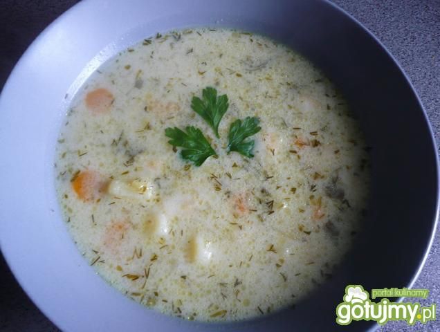 zupka ogórkowa z domowego przecieru zupka ogórkowa z domowego przecieru