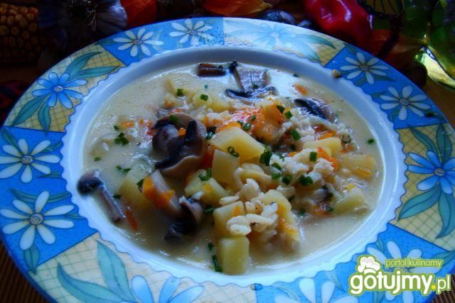 Zupka- ryżanka pieczarkowa