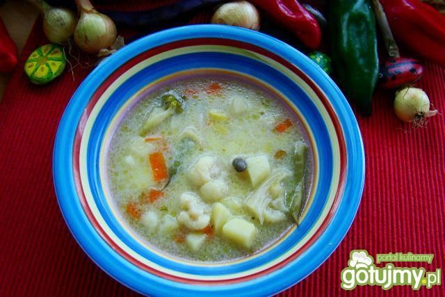 Zupka very warzywna . Zupka very warzywna .