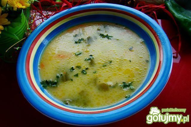 Zupka z młodej kapusty i kalarepy  Zupka z młodej kapusty i kalarepy