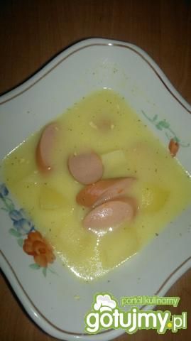 Zupka z serka topionego