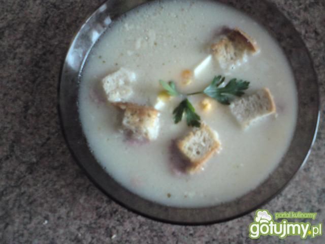 Żurek z grzankami,jajkiem i kiełbasą 