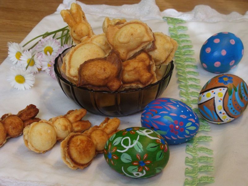 Zwierzaki cudaki  Zwierzaki cudaki