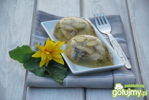 Zylc ze śledzia Zylc ze śledzia