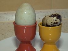Poznaj różnice między jajkami