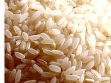 Gatunki ryżu