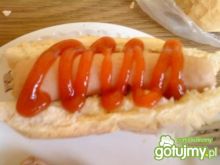 hot - dog 