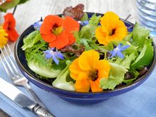 Jadalne kwiaty - jak je przygotować i które możemy zjeść