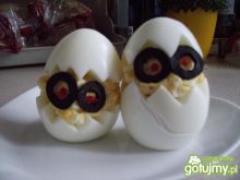 Jajeczne kurczaki