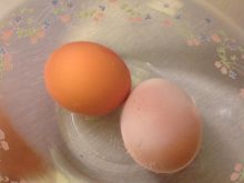 Jak szybko sprawdzić świeżość jajek