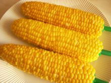 Kukurydza - kolby - gotowana