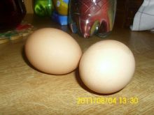 Łatwiejsze obieranie świeżych jajek