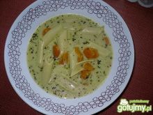 Makaronowa zupa z mlodych warzyw