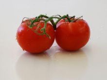 Pomidor dla każdego