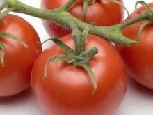 Pomidory w naszym jadłospisie
