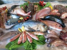 Jak przyrządzać i przechowywać ryby?