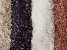 Ryż - wszystko o ryżu
