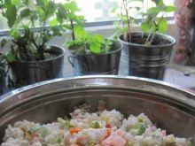 Sałatka z ryżem i warzywami