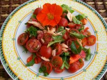 Sałatka z wędzonym łososiem i pomidorkami 