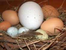 Sposoby przyrządzania jajka zapiekanego
