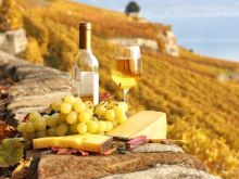 W dobie kryzysu Włochom najtrudniej zrezygnować z dobrego wina