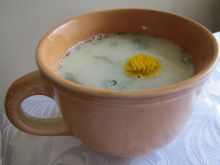 Zupa szczawiowa
